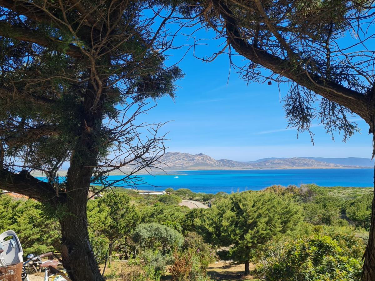 Villa Boat - In Front Of The Sea Stintino Εξωτερικό φωτογραφία